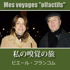 私の嗅覚の旅